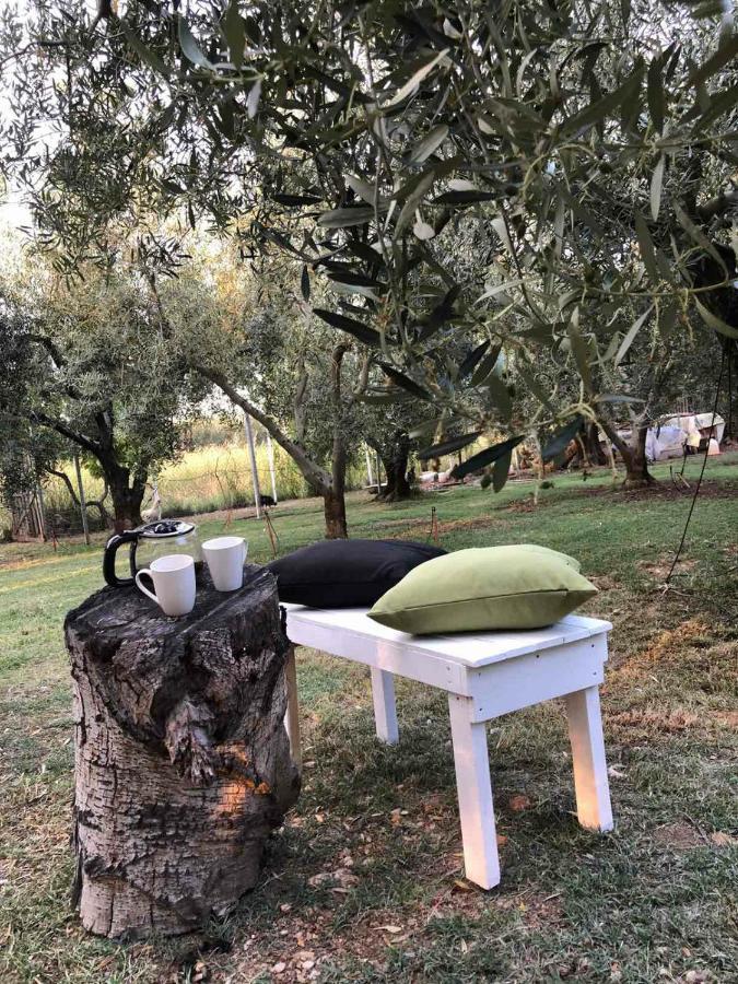 Green Olive Studios 2 Agios Mamas  Luaran gambar