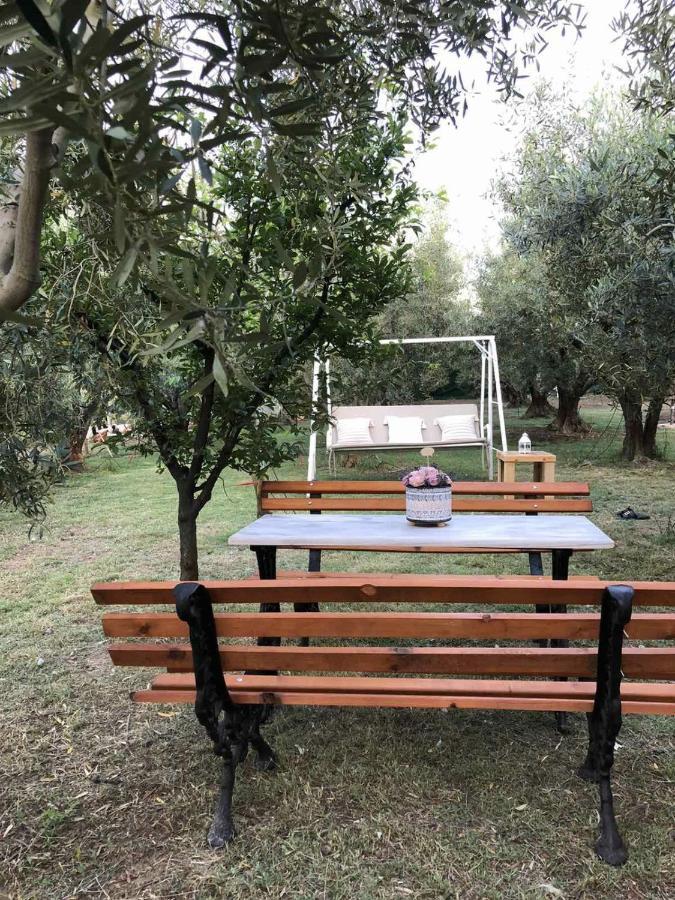 Green Olive Studios 2 Agios Mamas  Luaran gambar