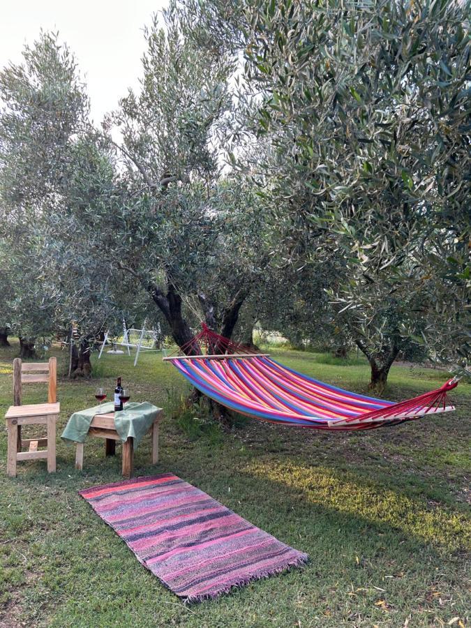 Green Olive Studios 2 Agios Mamas  Luaran gambar