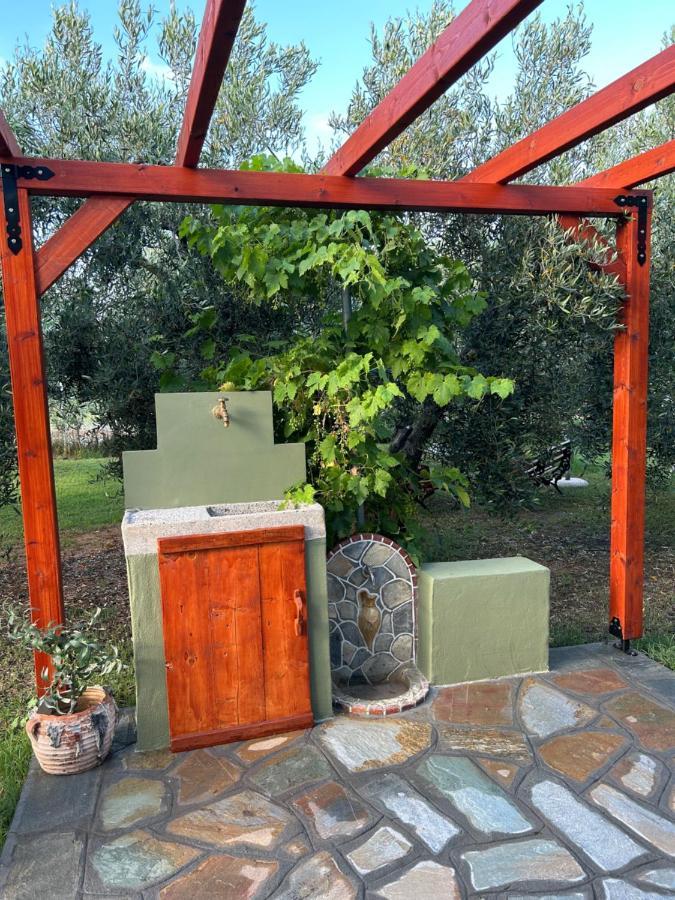 Green Olive Studios 2 Agios Mamas  Luaran gambar